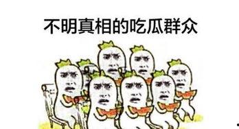 娱乐之星吃瓜群众是谁啊,揭秘娱乐圈神秘幕后推手